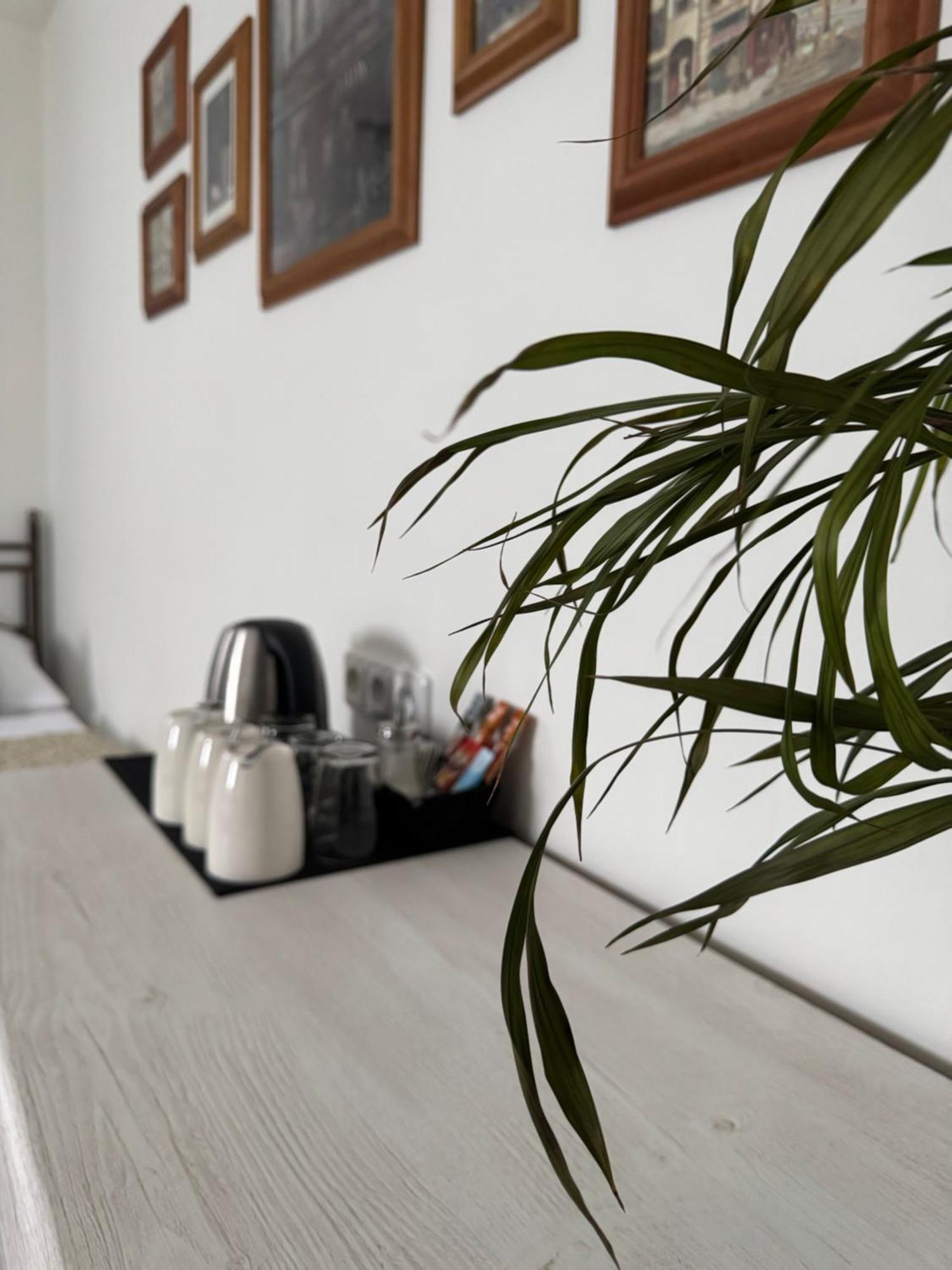 Pension U Draka Karlsbad Exteriör bild